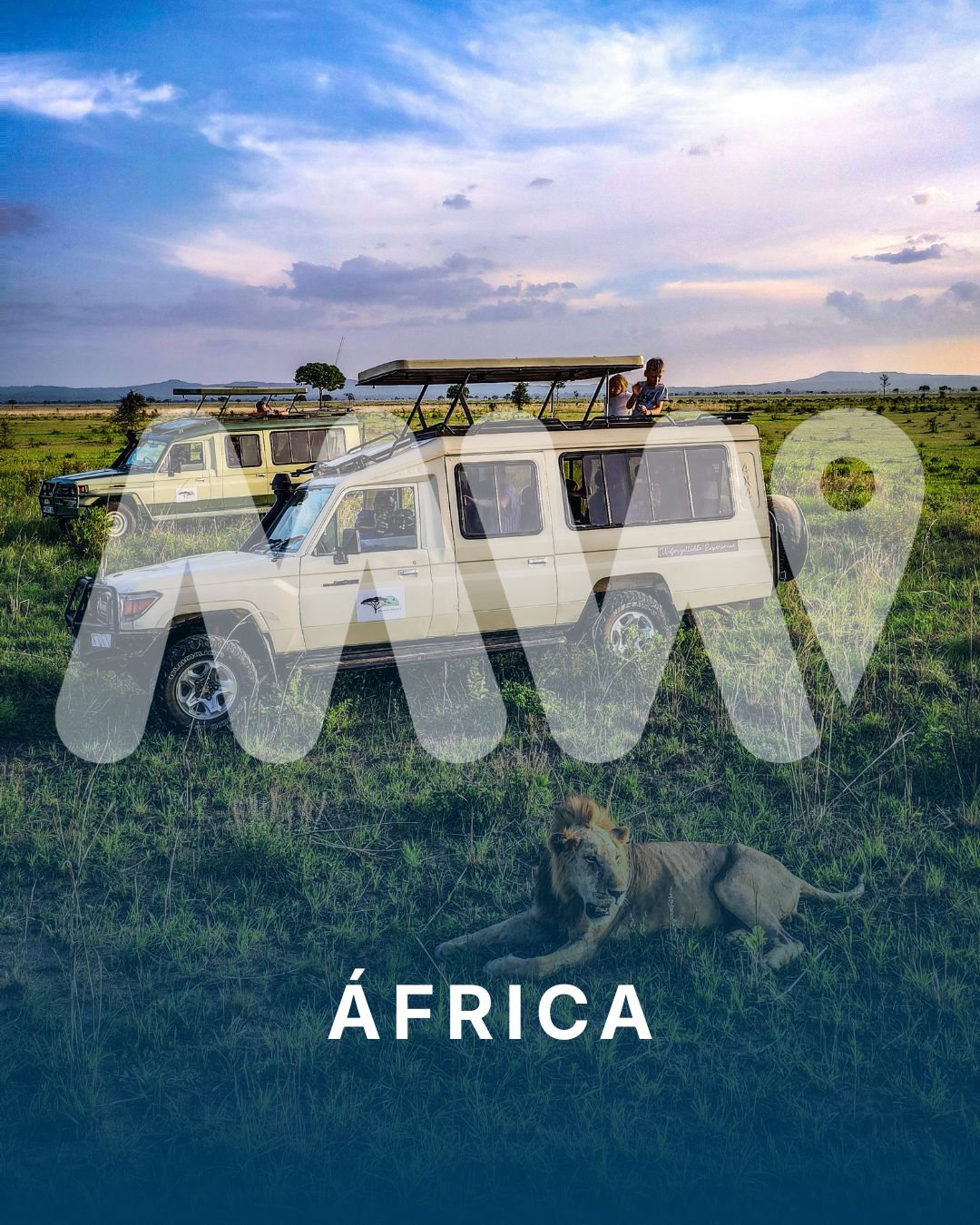 África | Safari en la sabana africana