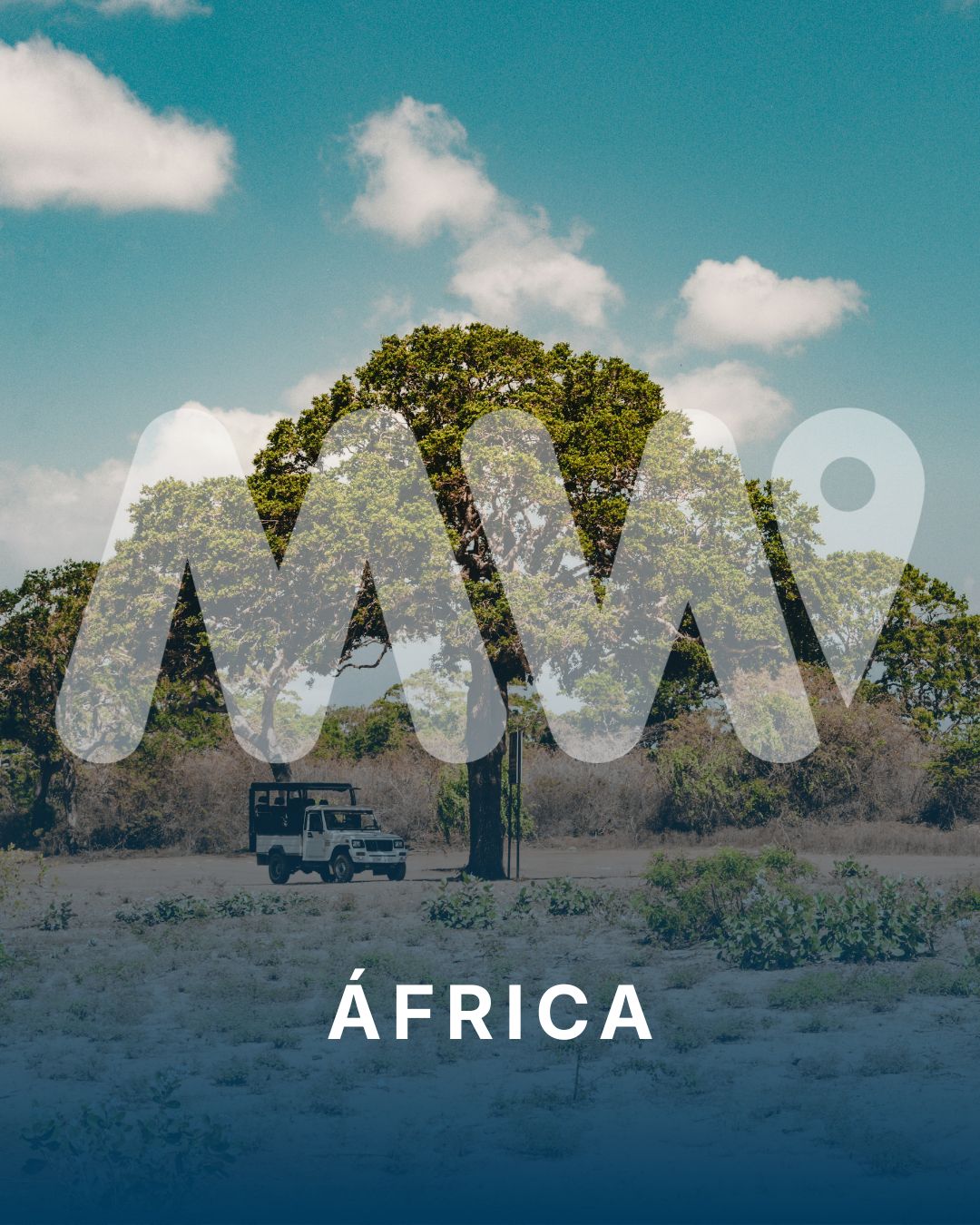 África | Safari en la sabana africana
