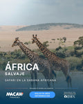 África | Safari en la sabana africana