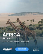 África | Safari en la sabana africana