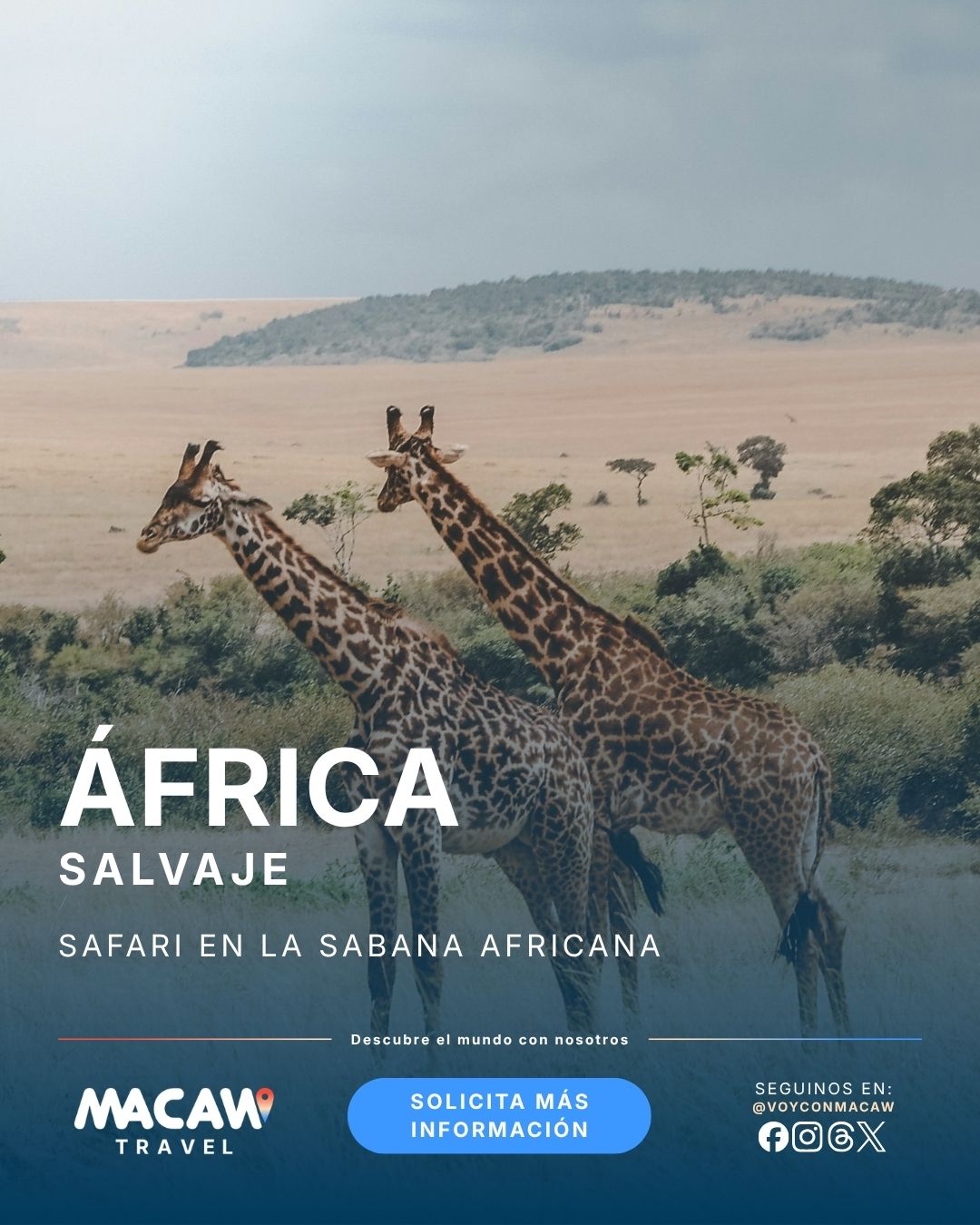 África | Safari en la sabana africana