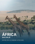 África | Safari en la sabana africana