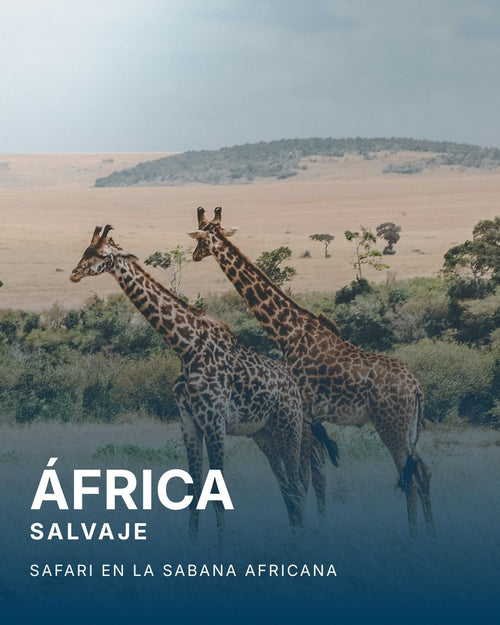 África | Safari en la sabana africana
