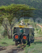 África | Safari en la sabana africana