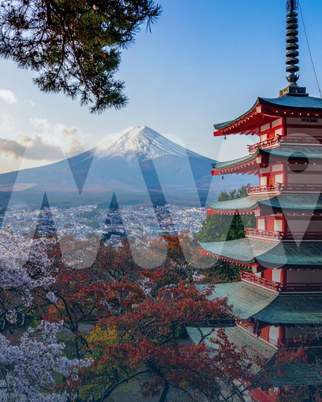 Japón mágico