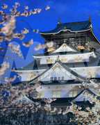 Japón mágico