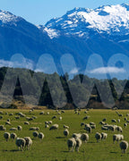 Oceanía, explorando más allá | Australia + New Zeland